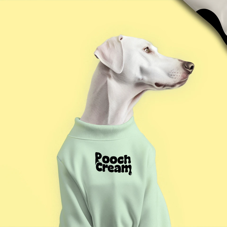 pooch-cream-dog-model-branded-hoodie-branxldesign