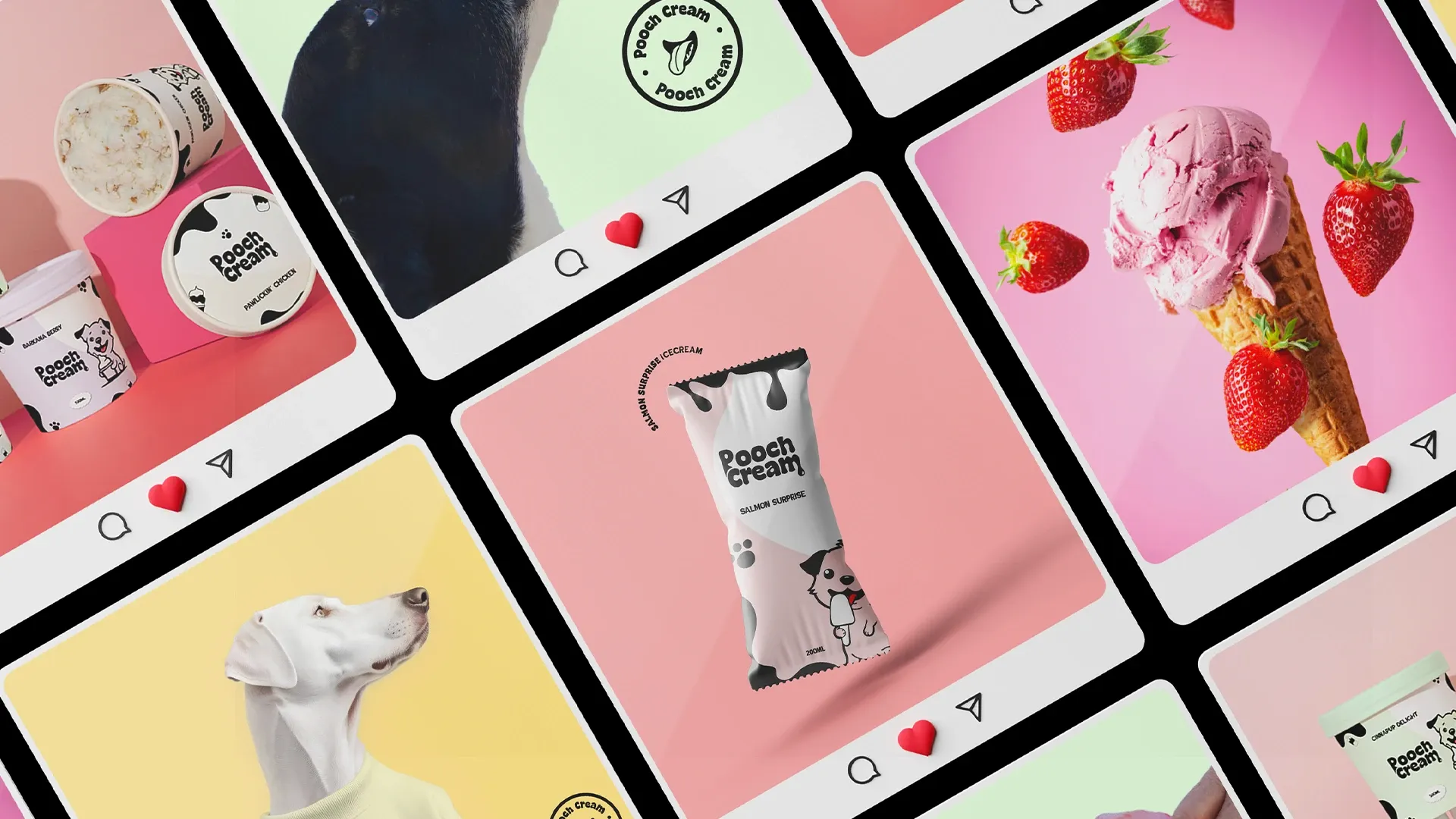 Pooch Cream Instagram feed mockup showcasing brand photography and packaging posts